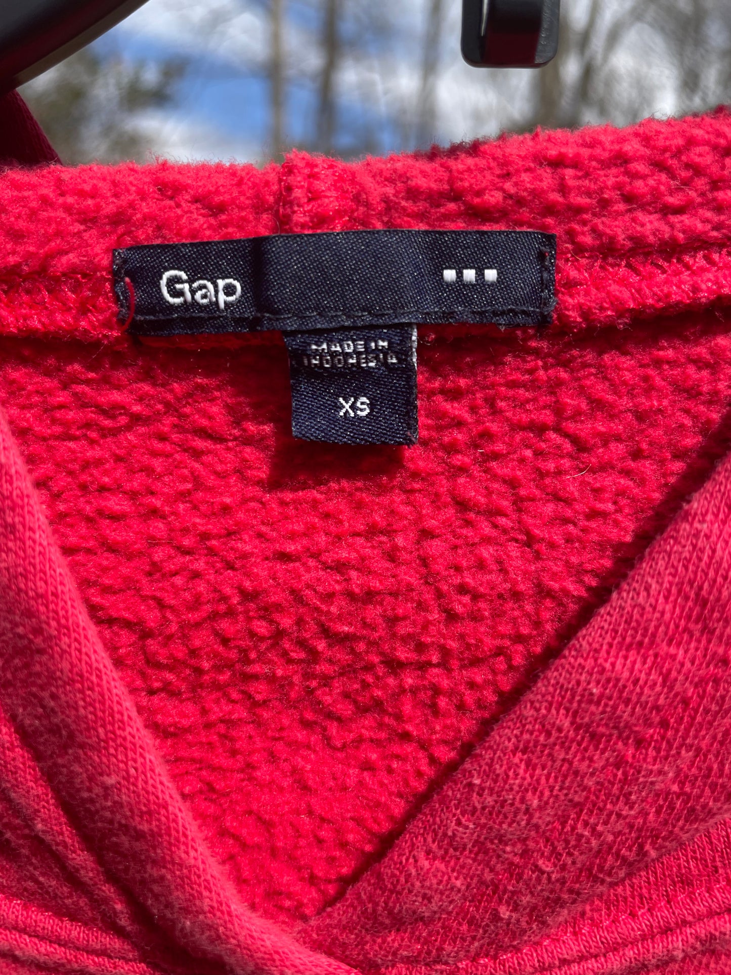 Vintage Gap Hoodie